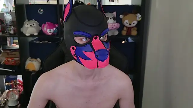MellPUP online show from 30, 4, 2026