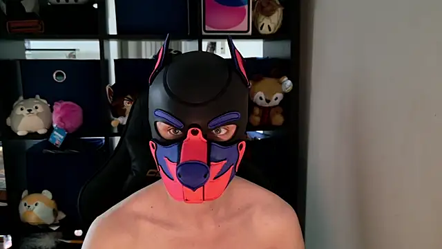 MellPUP online show from 12, 5, 2026