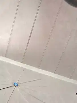 Snapshot of CirclingClass chatting on 4, 3, 2025 CirclingClass online show from 4, 3, 2025