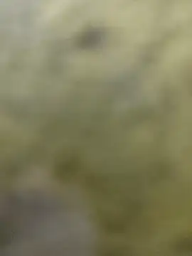 clayto77 online show from 6, 3, 2026