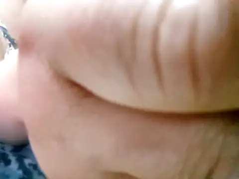 Noha 11 online show from 7, 3, 2026