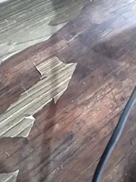 crisgoems online show from 15, 3, 2026