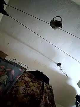 lovely 0078 online show from 11, 3, 2026