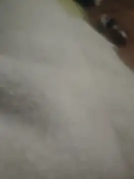 OldWalls online show from 9, 3, 2026