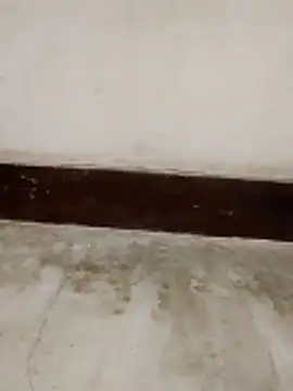 Student girl00 online show from 15, 3, 2026