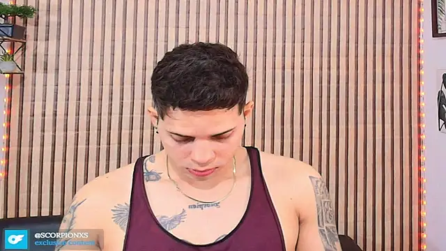 johan speitzer online show from 31, 3, 2026