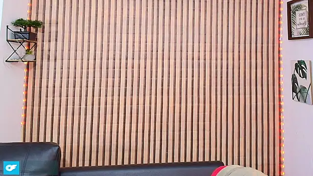 johan speitzer online show from 15, 4, 2026