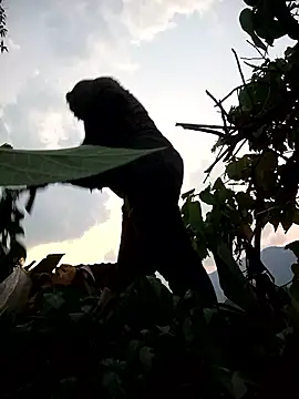 Bling-pusy online show from 8, 4, 2026