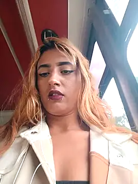 Mayaforest  online show from 12, 3, 2026