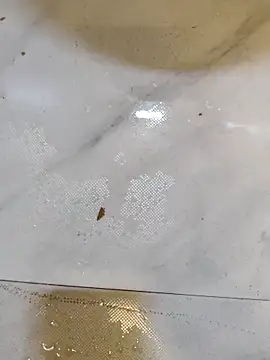 Snapshot of Splashyblackboard2 chatting on 13, 3, 2026 Splashyblackboard2 online show from 13, 3, 2026