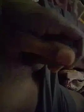 pujakia online show from 29, 4, 2026