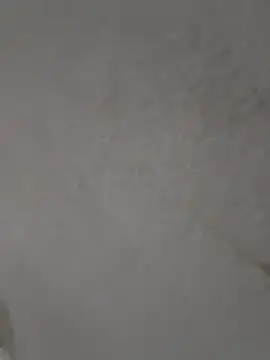 Snapshot of Casandraxquesi chatting on 11, 3, 2026 Casandraxquesi online show from 11, 3, 2026