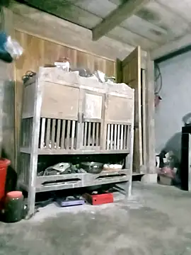 hasaki001 online show from 27, 3, 2026