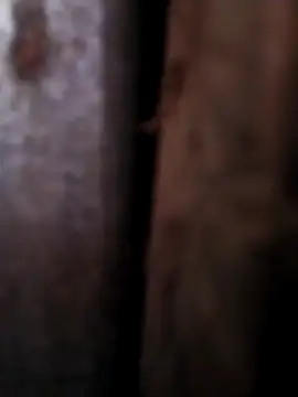 Any 120 online show from 26, 4, 2026