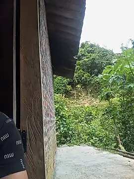 Heli pusy online show from 25, 6, 2026