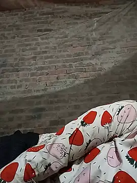 Heli pusy online show from 15, 7, 2026