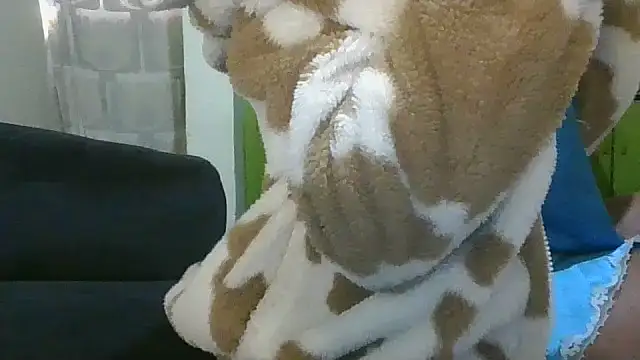 Elianastar online show from 16, 4, 2026