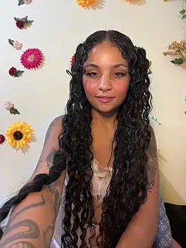 SpidderSecret online show from 3, 4, 2026