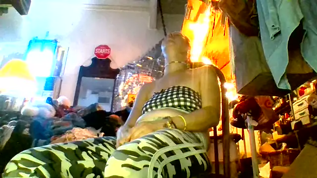 Ambionce online show from 24, 7, 2026
