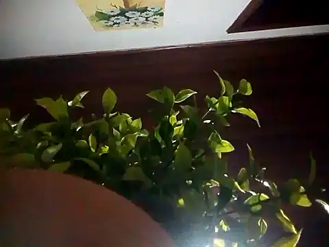 Snapshot of KikoKratos chatting on 6, 7, 2026 KikoKratos online show from 6, 7, 2026