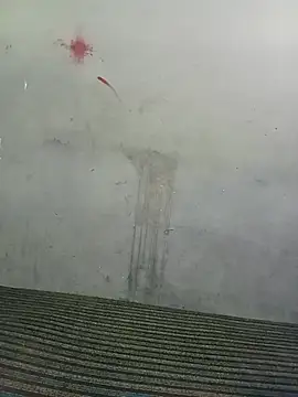 School teacher12 online show from 14, 4, 2026