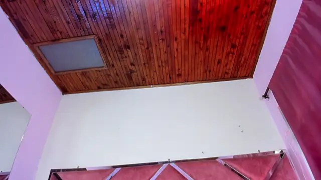 Megan Dangelo online show from 15, 3, 2026