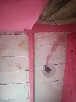 Mona ji32 online show from 3, 4, 2026