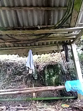 NIANIAKUTE online show from 26, 4, 2026