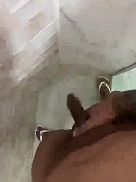 gh0115 online show from 17, 3, 2026