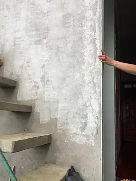 tieuvy6 online show from 25, 3, 2026