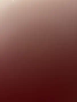 SwissHotLeo online show from 8, 7, 2026