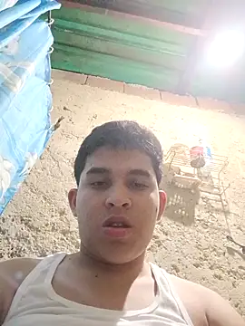 alee28728 online show from 21, 4, 2026