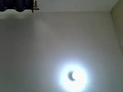 bongo9811 online show from 24, 3, 2026