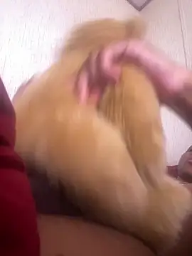 Bigcock127 online show from 24, 3, 2026