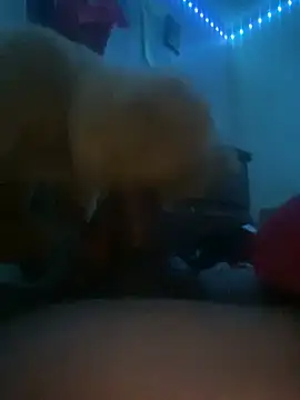 Bigcock127 online show from 31, 3, 2026