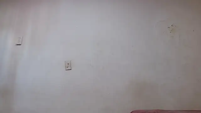 pircohg online show from 22, 4, 2026