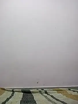 Snapshot of M__Payal__ chatting on 22, 3, 2026 M Payal online show from 22, 3, 2026