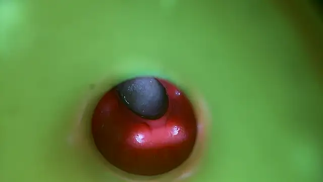 rubbingtothetips online show from 24, 3, 2026