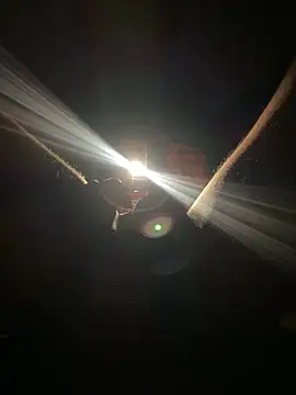 FastFucky online show from 26, 4, 2026
