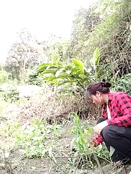 Snapshot of Giang-mylove chatting on 4, 4, 2026 Giang-mylove online show from 4, 4, 2026