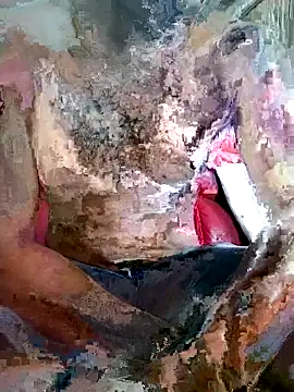 SteedyGee online show from 27, 3, 2026