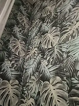 MileDi777 online show from 26, 4, 2026