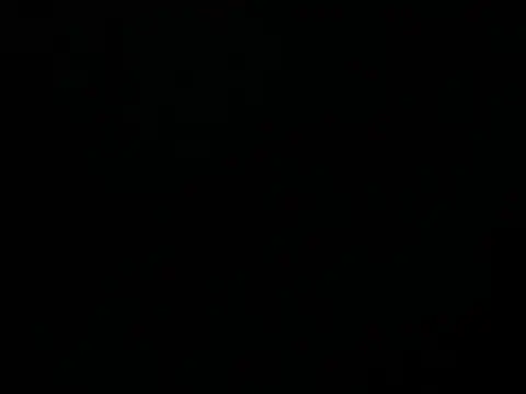 Mexibear online show from 6, 8, 2026