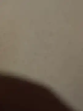 Mr beast 09 online show from 22, 6, 2026