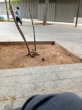 Snapshot of biga00 chatting on 11, 4, 2026 biga00 online show from 11, 4, 2026