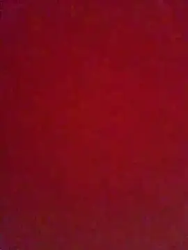 Snapshot of niyak_tatat696 chatting on 19, 5, 2026 niyak tatat696 online show from 19, 5, 2026
