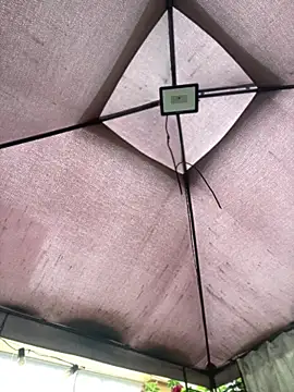 ZoeBennett Pink online show from 16, 4, 2026