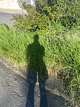 Cs-18 online show from 20, 4, 2026