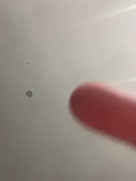 didine179 online show from 27, 4, 2026