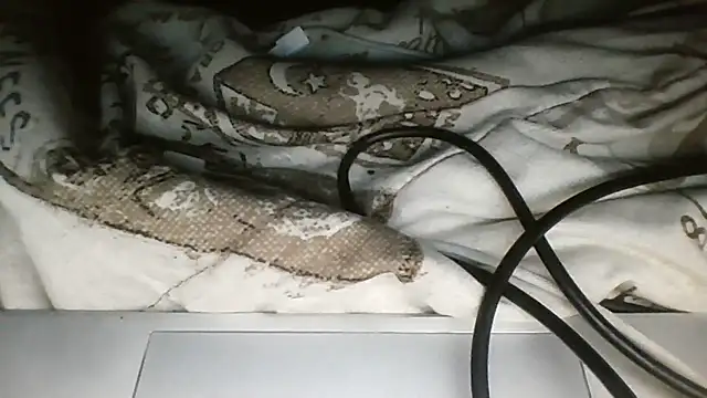 darkdadaaa online show from 27, 4, 2026